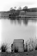 Jetty and trees.jpg