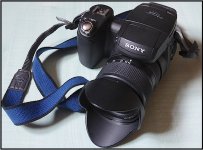 Camera Sony DSC-R1 TZ40 1000698.jpg