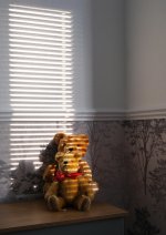 Teddy Bears 001.jpg