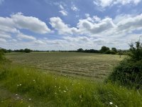 Hay Cut.jpg