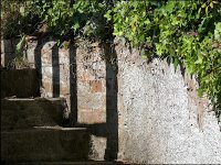 Evening shadow on garden wall FZ82 P1010533.jpeg