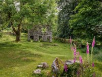 003 Middleworth Farm Ruins 01-2617 PS Adj.JPG