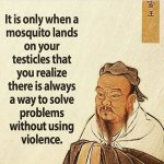 confucioussay-mosquito.jpg