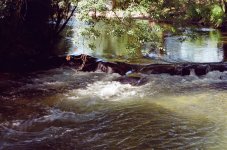 Charente Waterfall Vibrac (Tripod).jpg