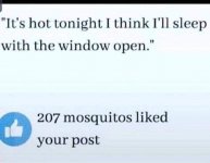 Mozzies.jpg