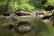 Corot River Calm View LSF.jpg