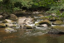 Corot River View LSF.jpg