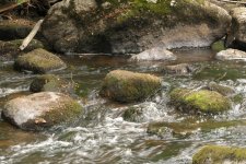 Corot Stream & Stones 2 LSF.jpg