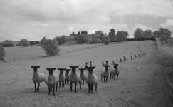 2024 Aug Welsh Castles 10.JPG