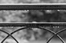 Droplets on Railings Mono.jpg