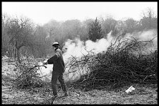 Feeding large bonfire at Kent youth hostel 1960s Pentacon FM 67-9020.jpg