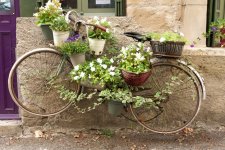 Cajarc Flowers on Bike.jpg