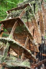 CRX 35D Water Wheel PTF 4.jpg