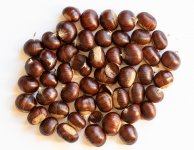 sweet-chestnuts.jpg