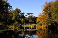 Chinese Bridge Painshill Park.jpg