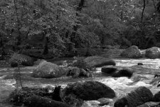 Corot River View Mono LSF.jpg