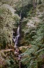 000062990032 Stock ghyll.jpg