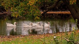 farm_pond_s.jpg