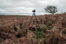 020 Hound Tor (Bronica Setup) 03-9239 PS Adj.JPG