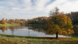 Fountains Abbey-1.jpg