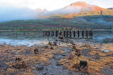 Loch Long mist clearing.jpg