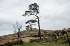 005 Doe Tor Farm Ruins 01-9405 PS Adj.JPG