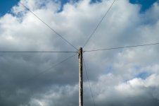 Side Lit Telephone Pole-1004891 PS Adj.JPG