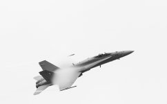 F18-Hornet-jet-b7w.jpg