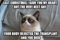 Funny-Christmas-Grumpy-Cat-022.jpg